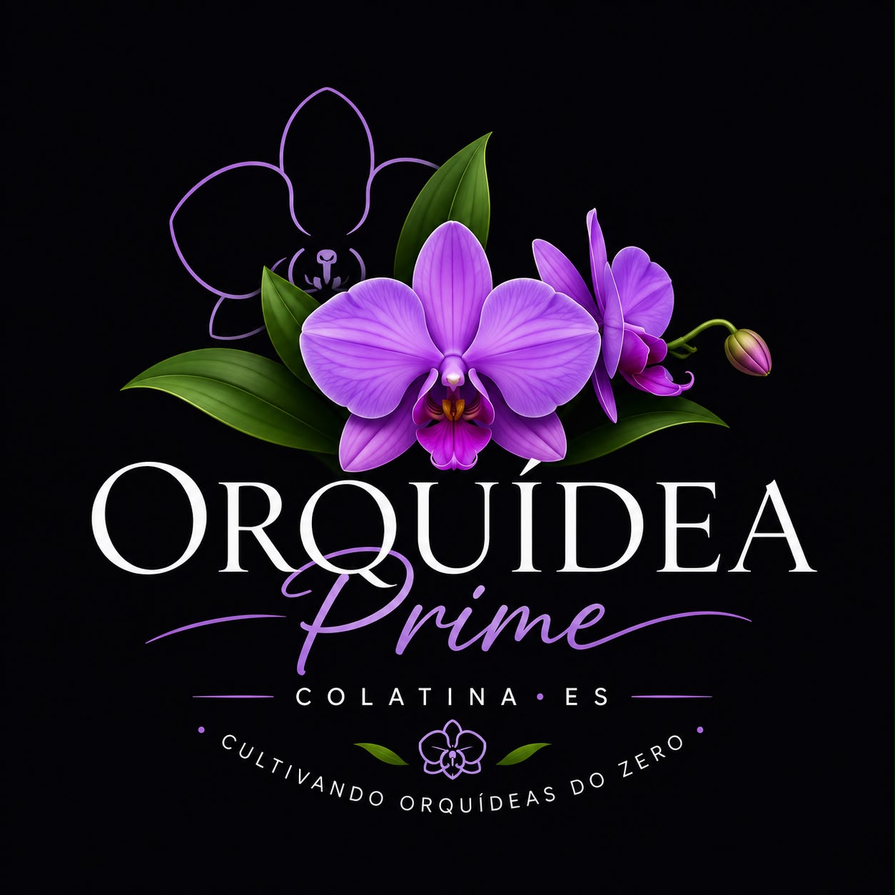 Orquídea Prime — Colatina/ES